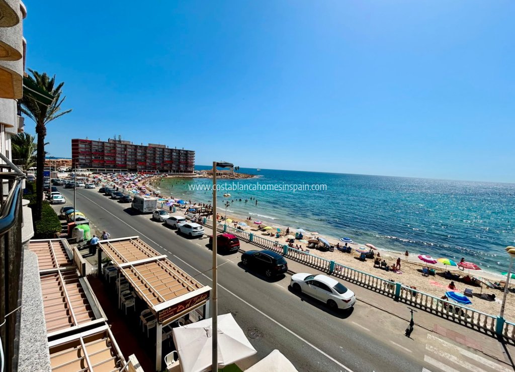 Használt - Apartment - Torrevieja - Playa de los Locos