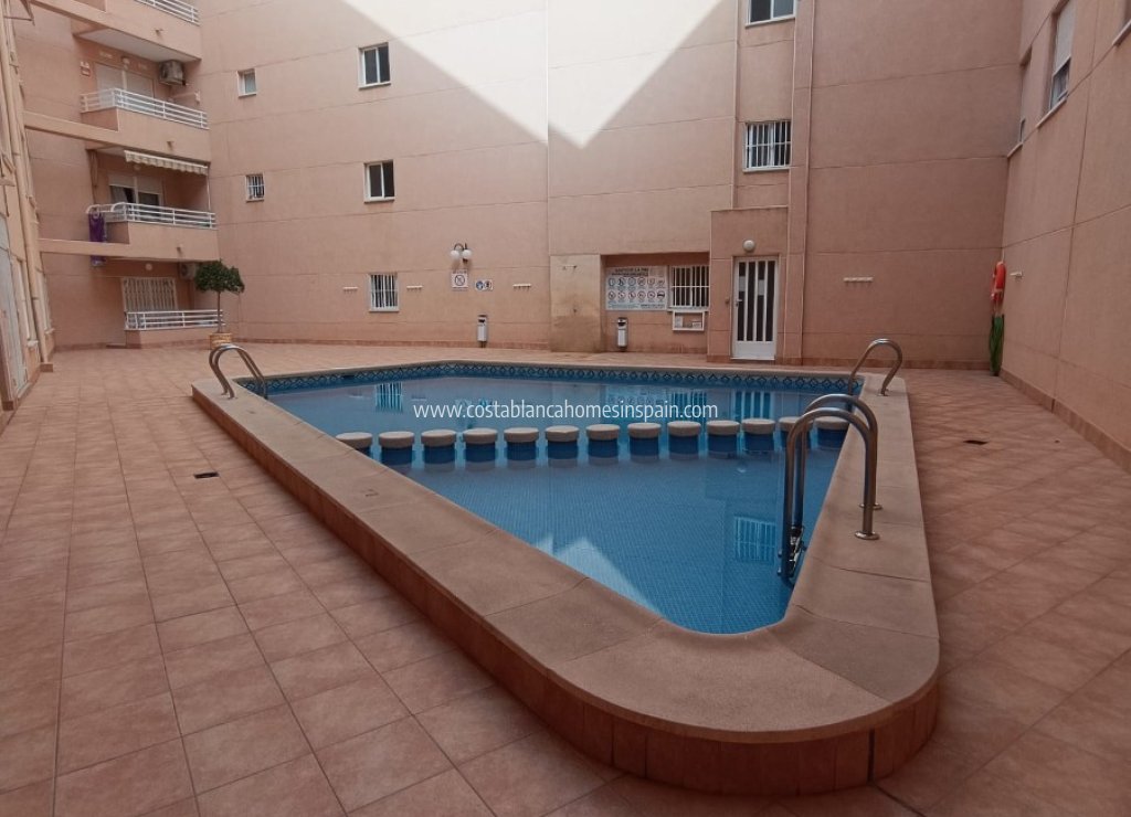 Használt - Apartment - Torrevieja - Playa de los Locos