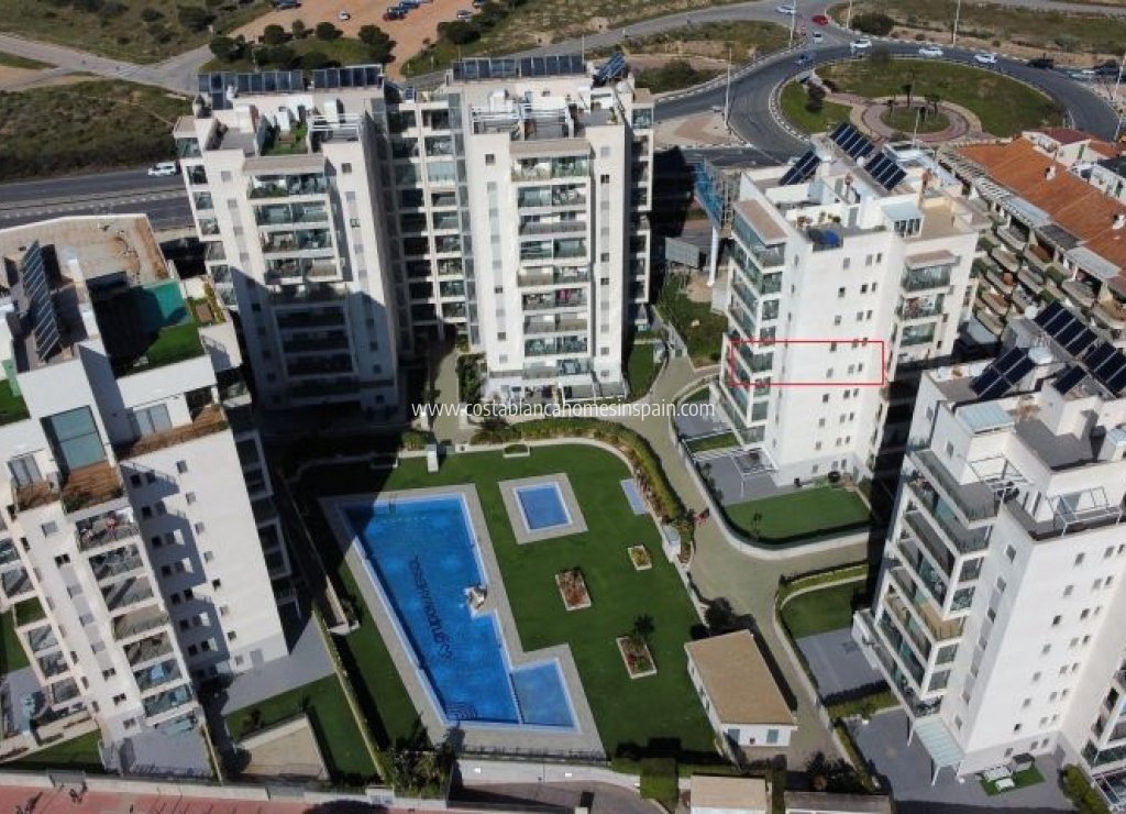 Használt - Apartment - Torrevieja