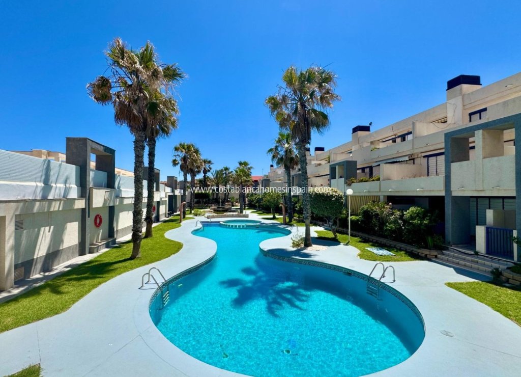 Használt - Apartment - Torrevieja - 