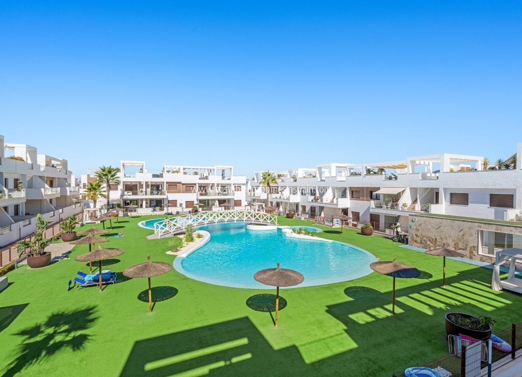 Használt - Apartment - Torrevieja - 