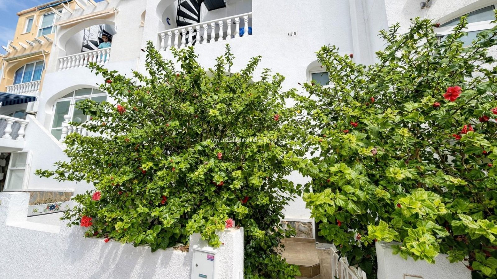 Használt - Apartment - 