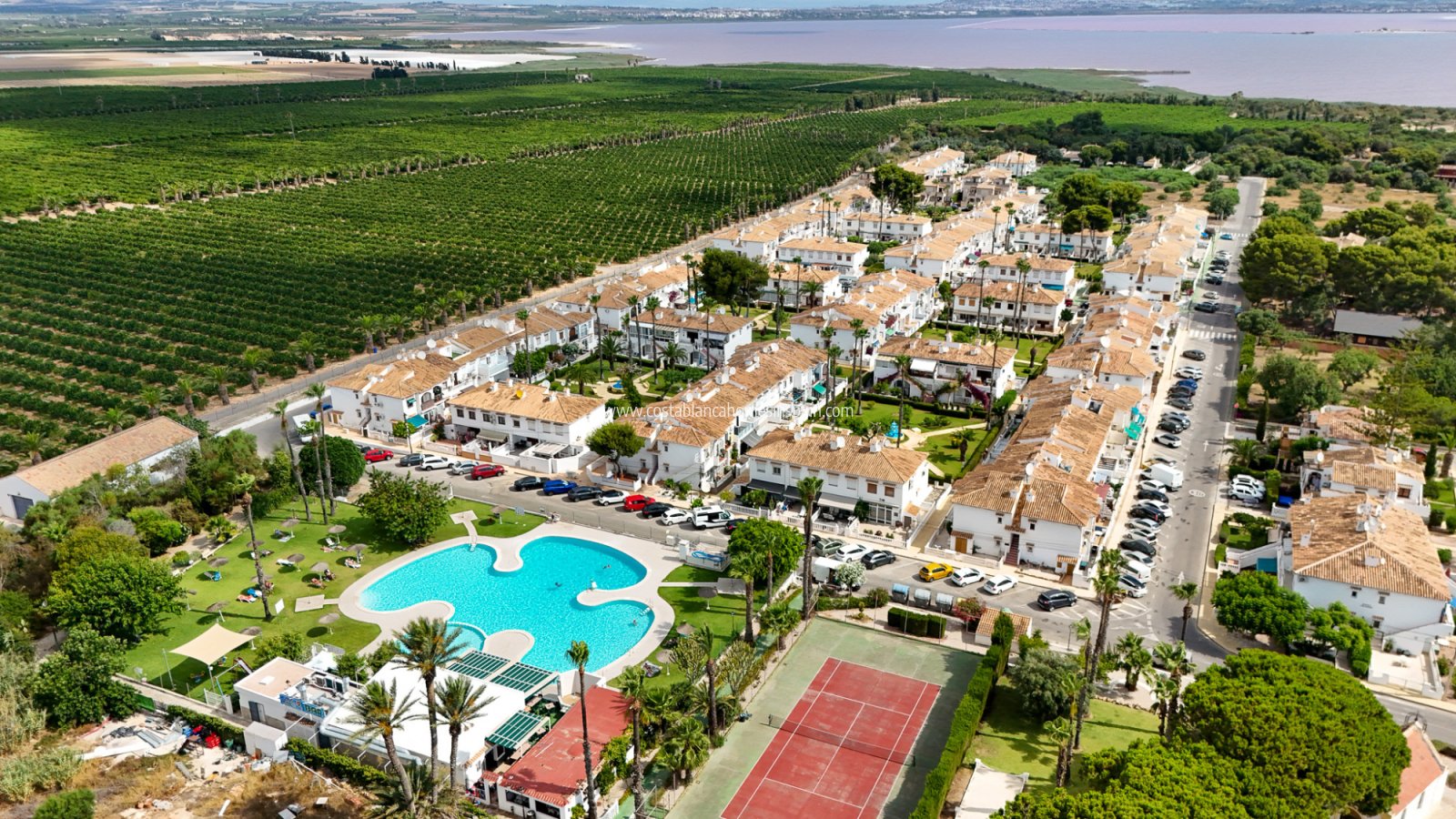 Használt - Bungalow - Torrevieja - Lago jardin