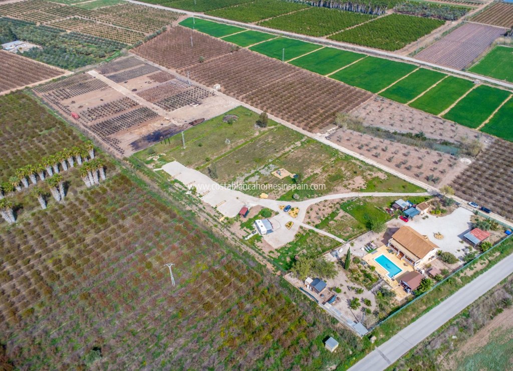 Használt - Finca - Crevillente