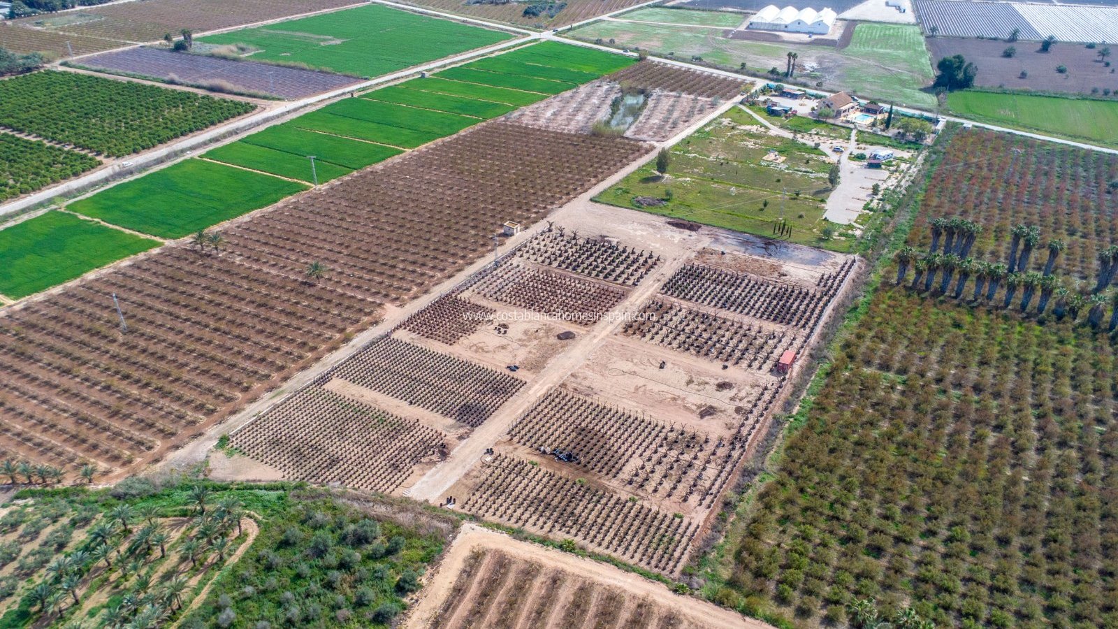Használt - Finca - Crevillente