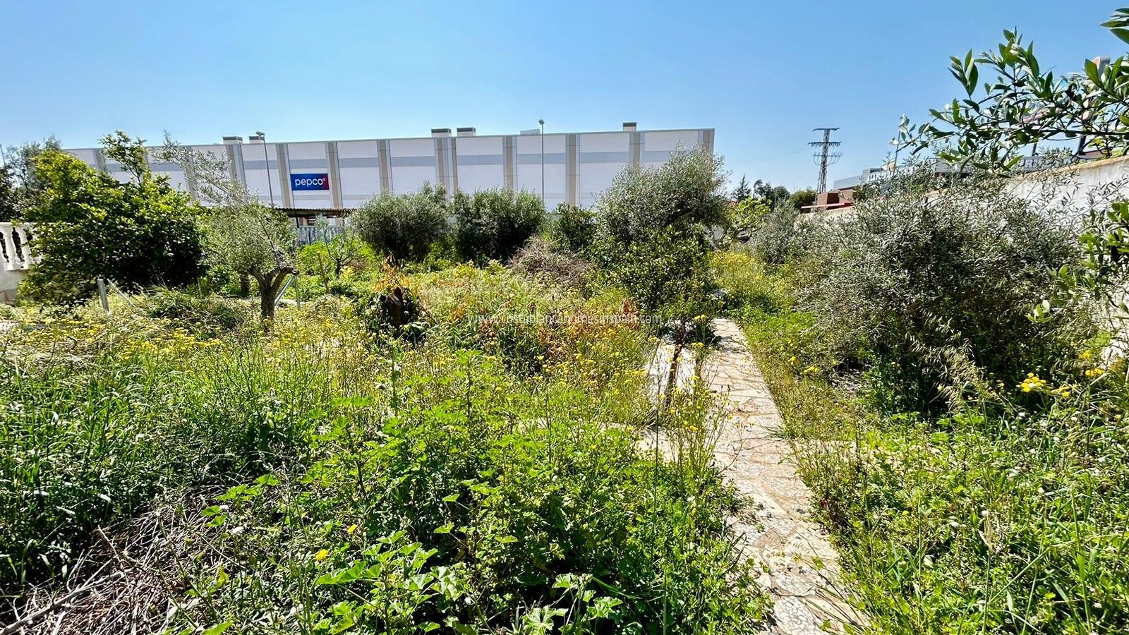 Használt - Plot - Ciudad Quesada - 