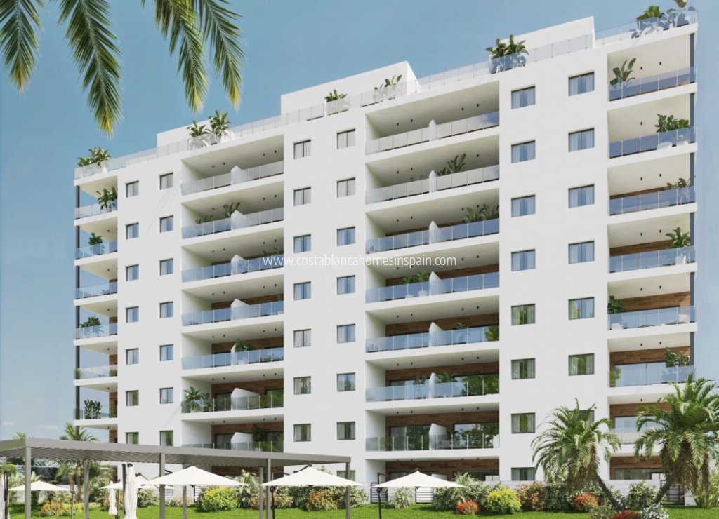 New Build - Apartment - Benidorm