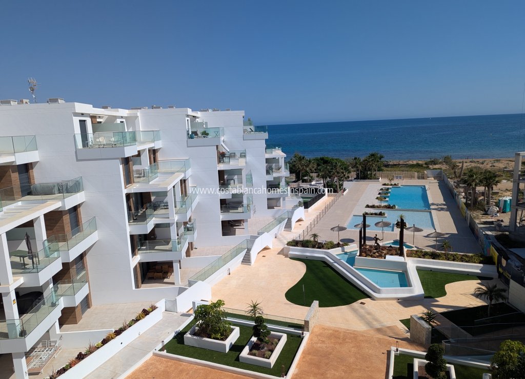 New Build - Apartment - Denia