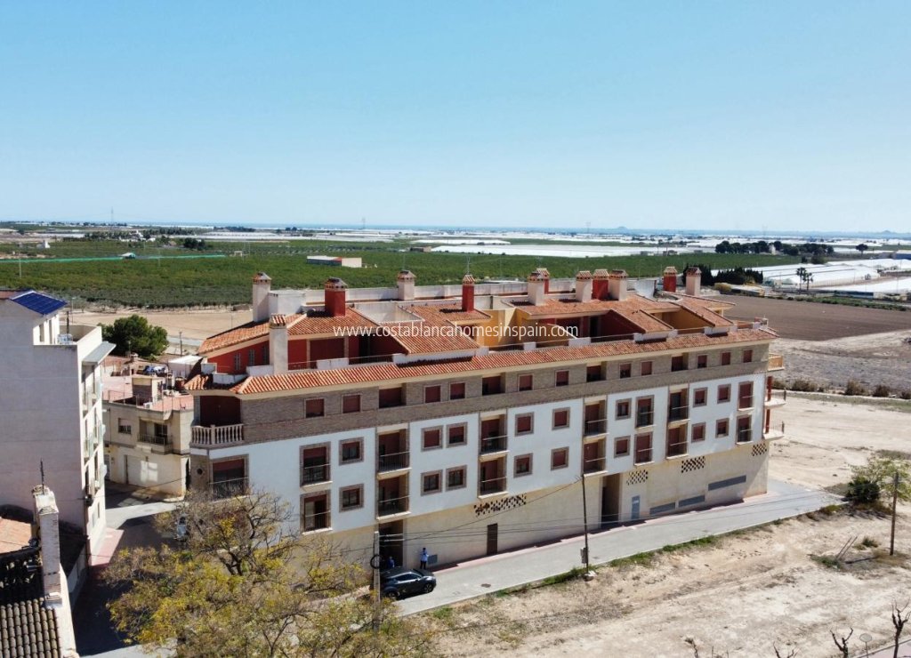 New Build - Apartment - Jerónimo y Avileses