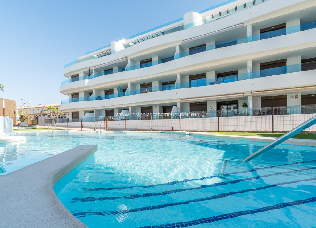 New Build - Apartment - Orihuela - Orihuela Costa