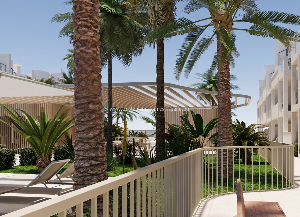 New Build - Apartment - San Cayetano
