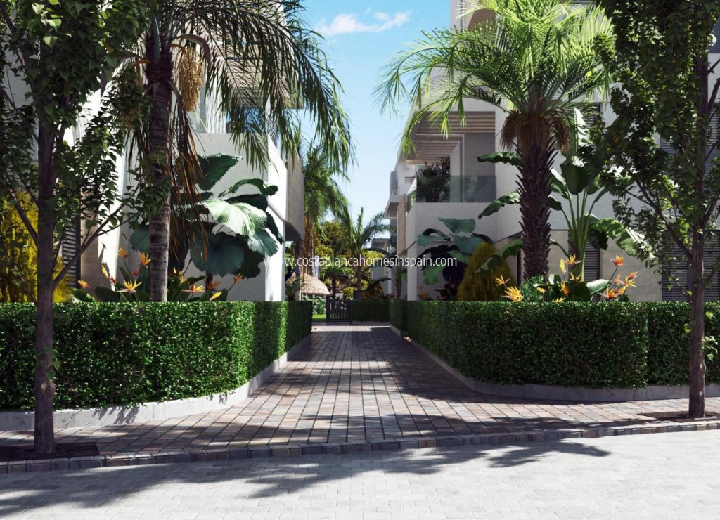 New Build - Apartment - Santa Rosalia