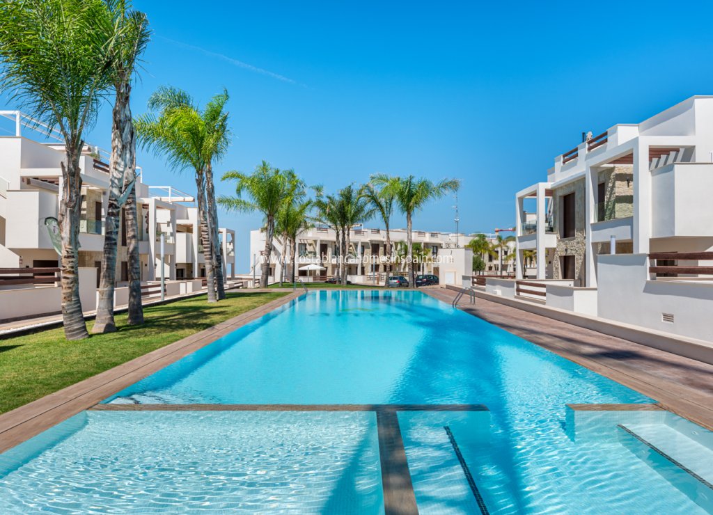 New Build - Apartment - Torrevieja