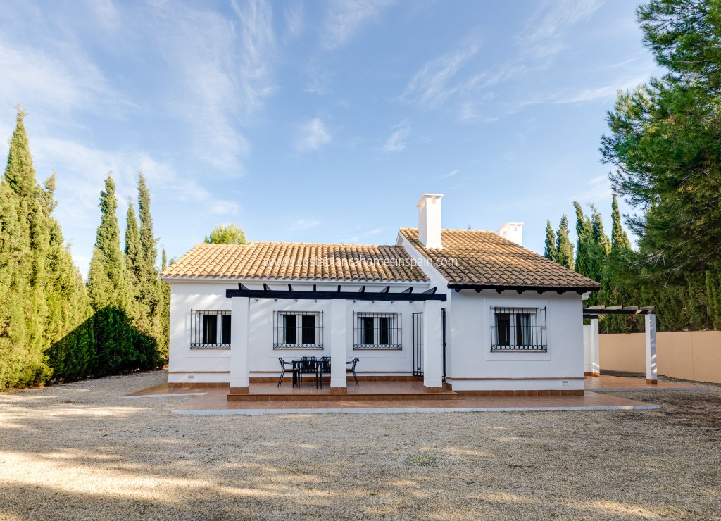 New Build - Detached Villa - Fuente Álamo - Fuente Alamo