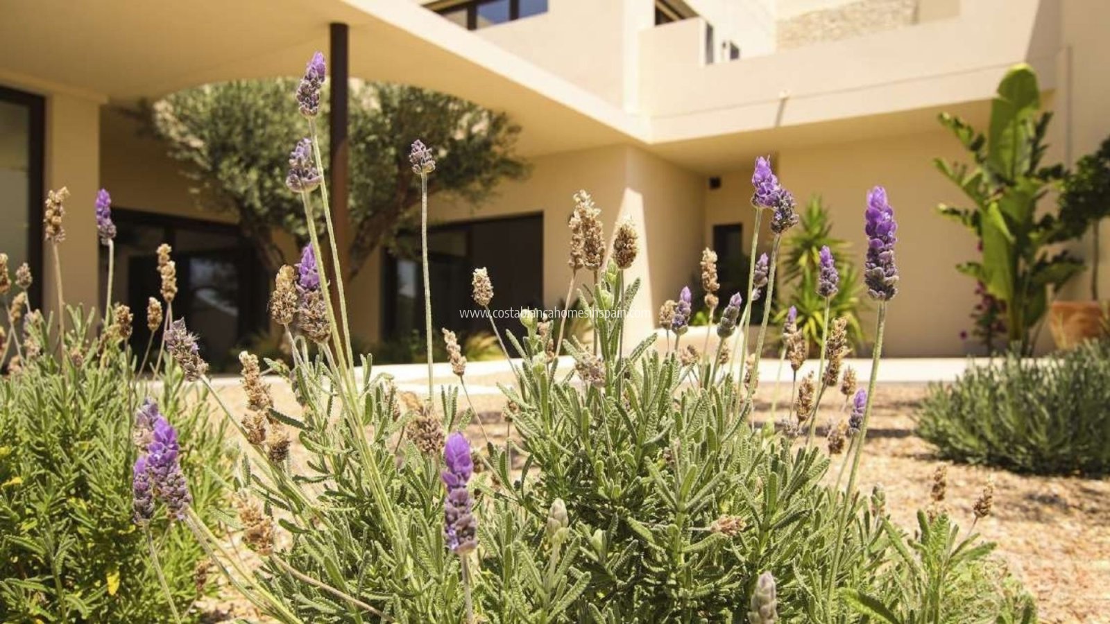 New Build - Detached Villa - La Marina