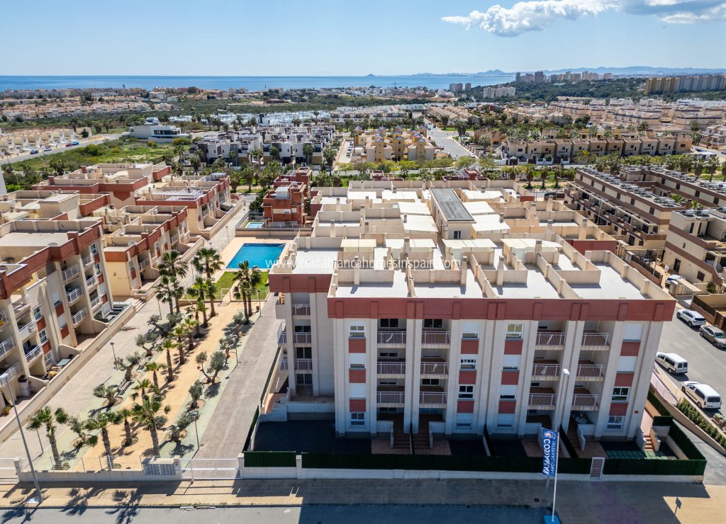 Nouvelle construction - Apartment - Orihuela Costa