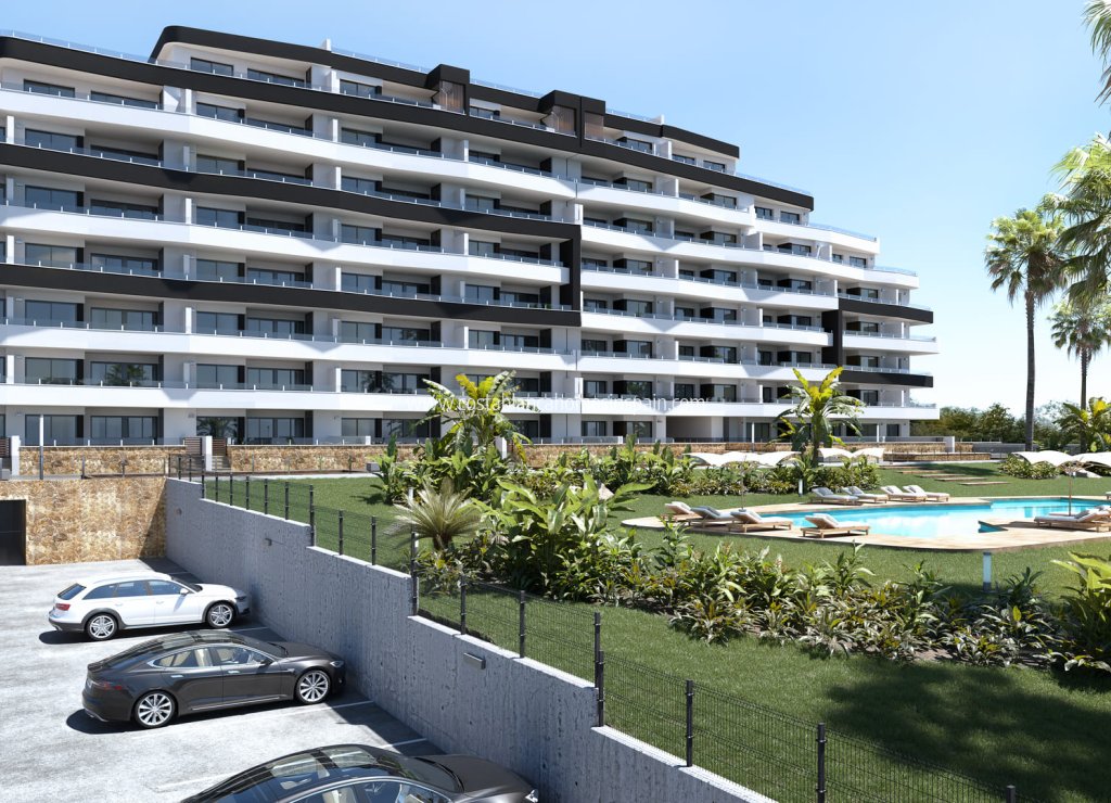 Nouvelle construction - Apartment - San Miguel de Salinas