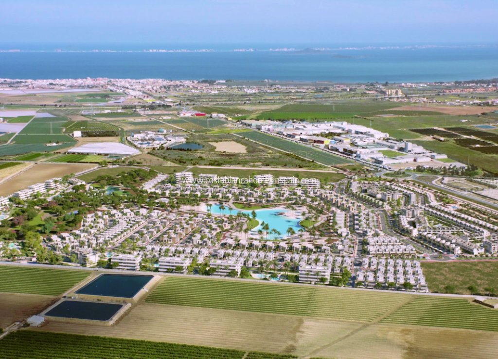 Nouvelle construction - Apartment - Santa Rosalia