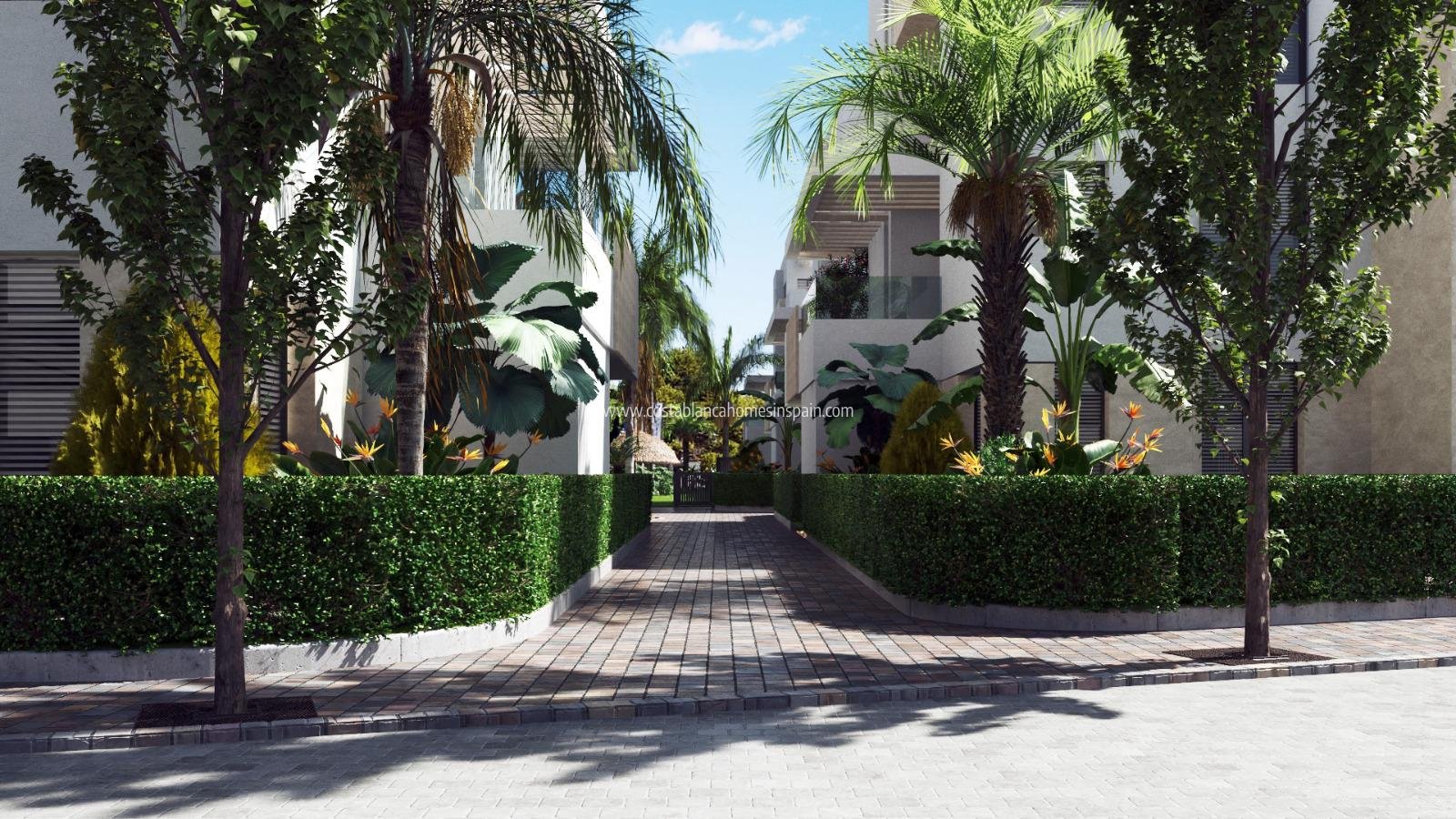 Nouvelle construction - Apartment - Santa Rosalia