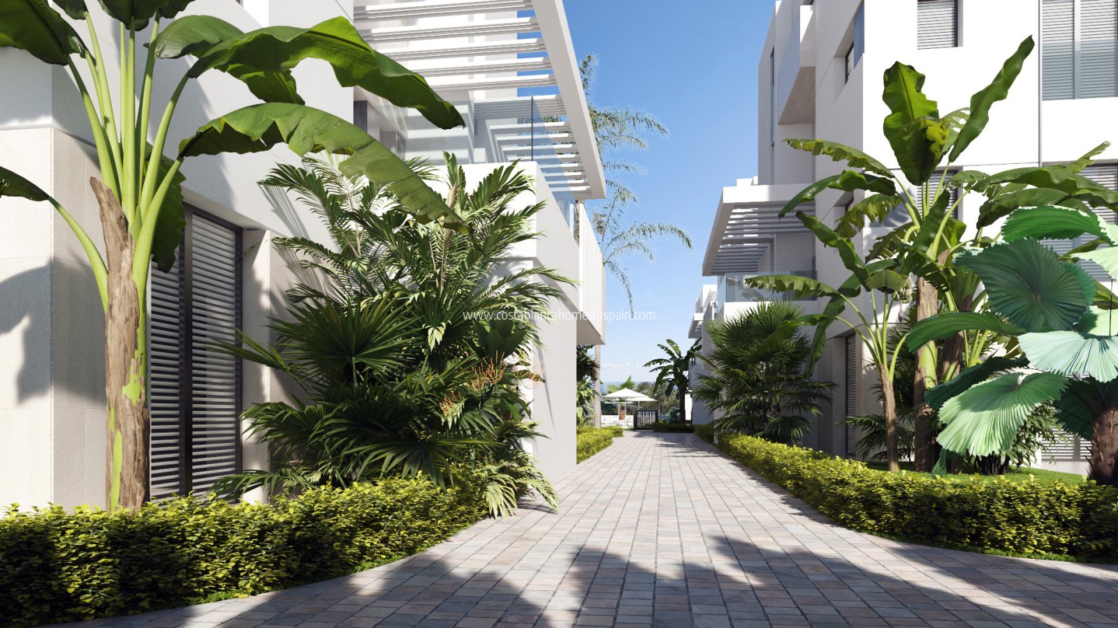 Nouvelle construction - Apartment - Santa Rosalia