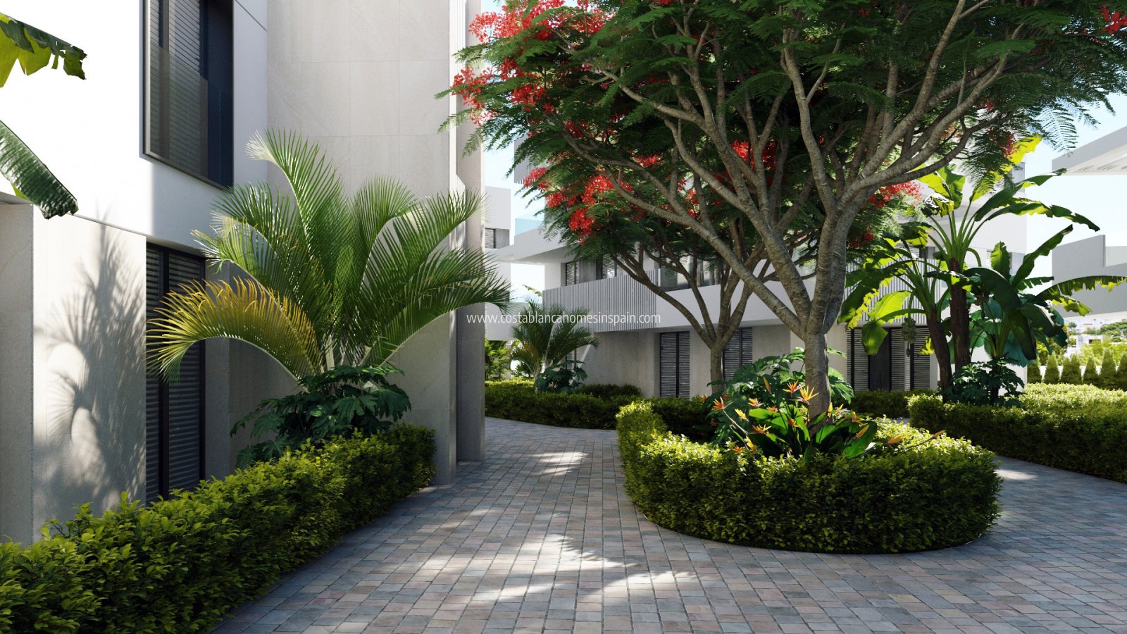 Nouvelle construction - Apartment - Santa Rosalia