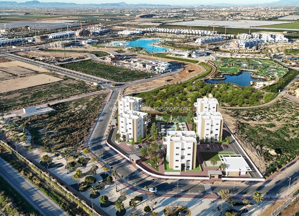Nouvelle construction - Apartment - Santa Rosalia