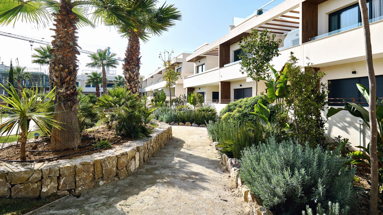 Nouvelle construction - Apartment - Torrevieja
