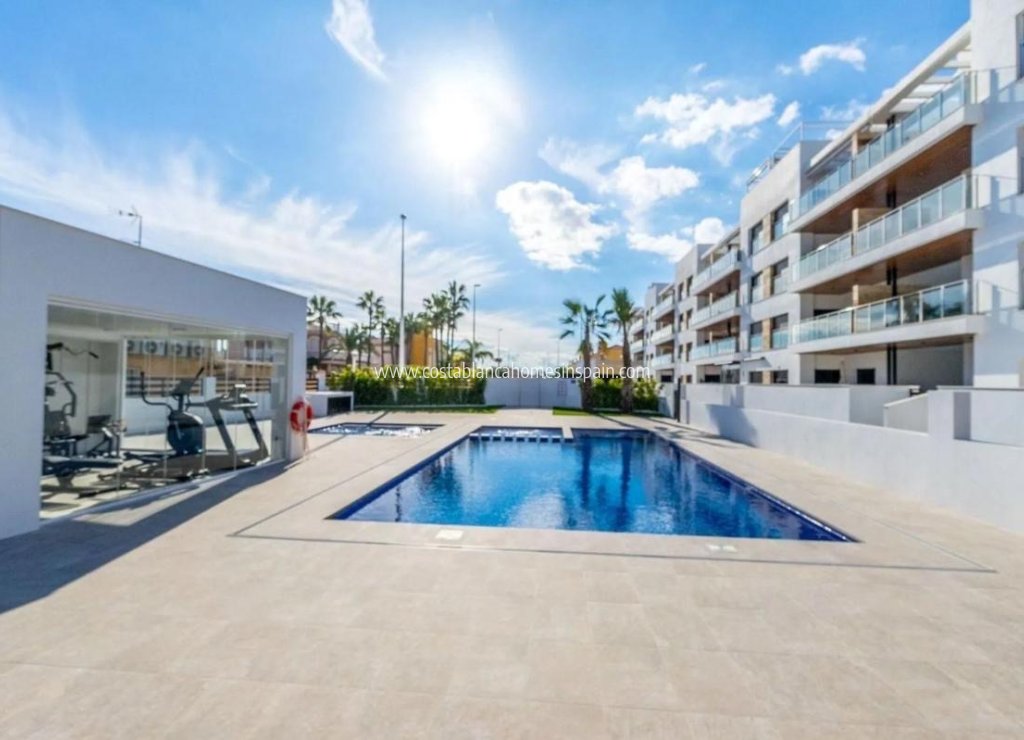 Nouvelle construction - Apartment - Torrevieja