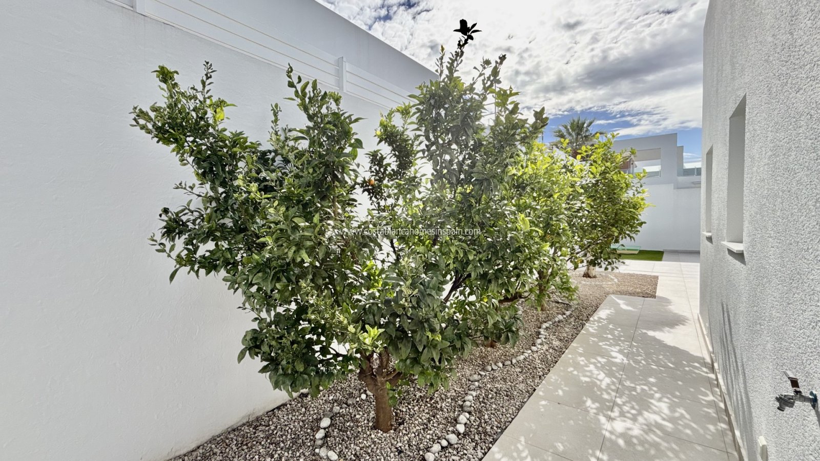 Nouvelle construction - Detached Villa - Benijófar - Binijófar