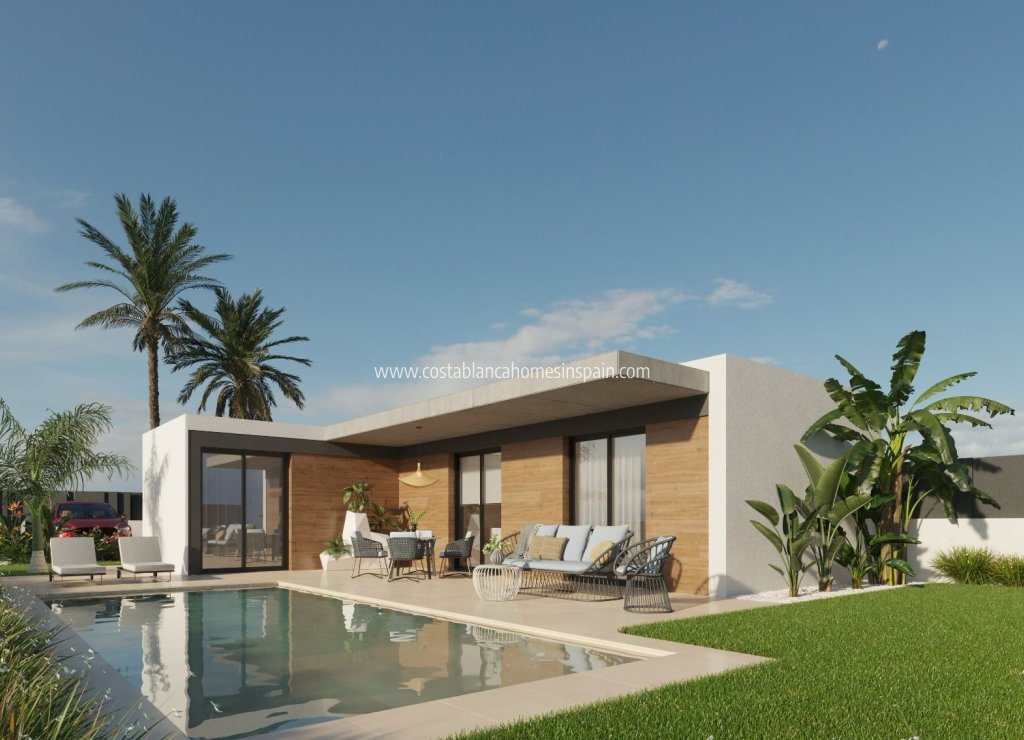Nouvelle construction - Detached Villa - Molina de Segura
