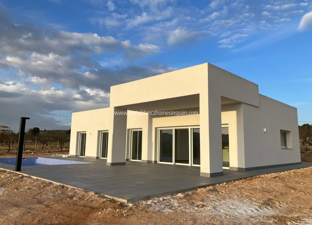 Nouvelle construction - Detached Villa - Pinoso
