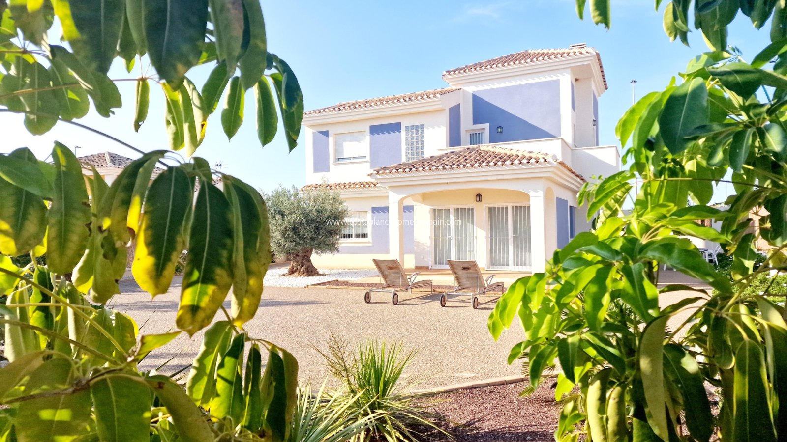 Nouvelle construction - Detached Villa - Purias