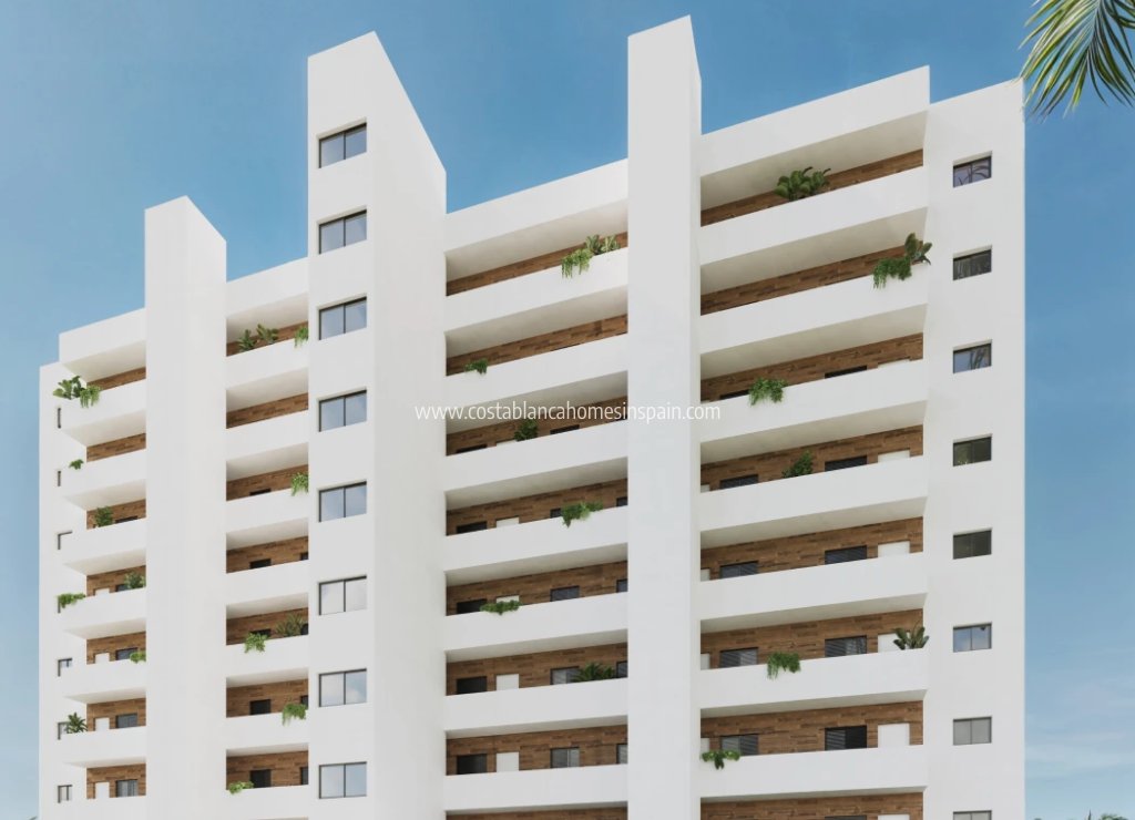 Nybygg - Apartment - Benidorm