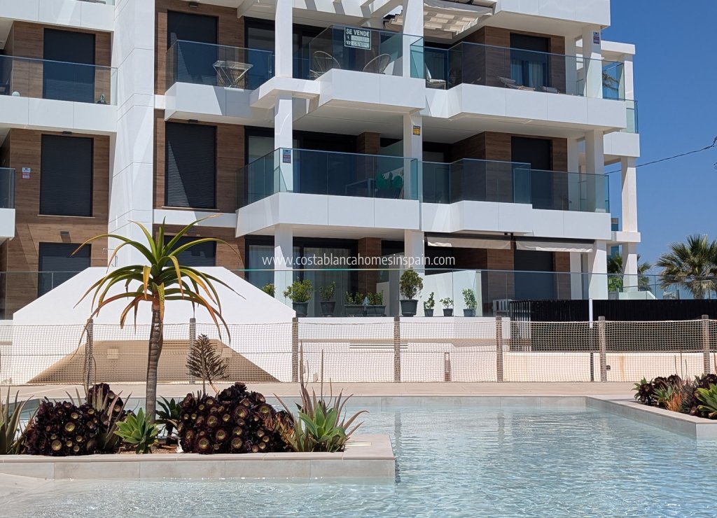 Nybygg - Apartment - Denia