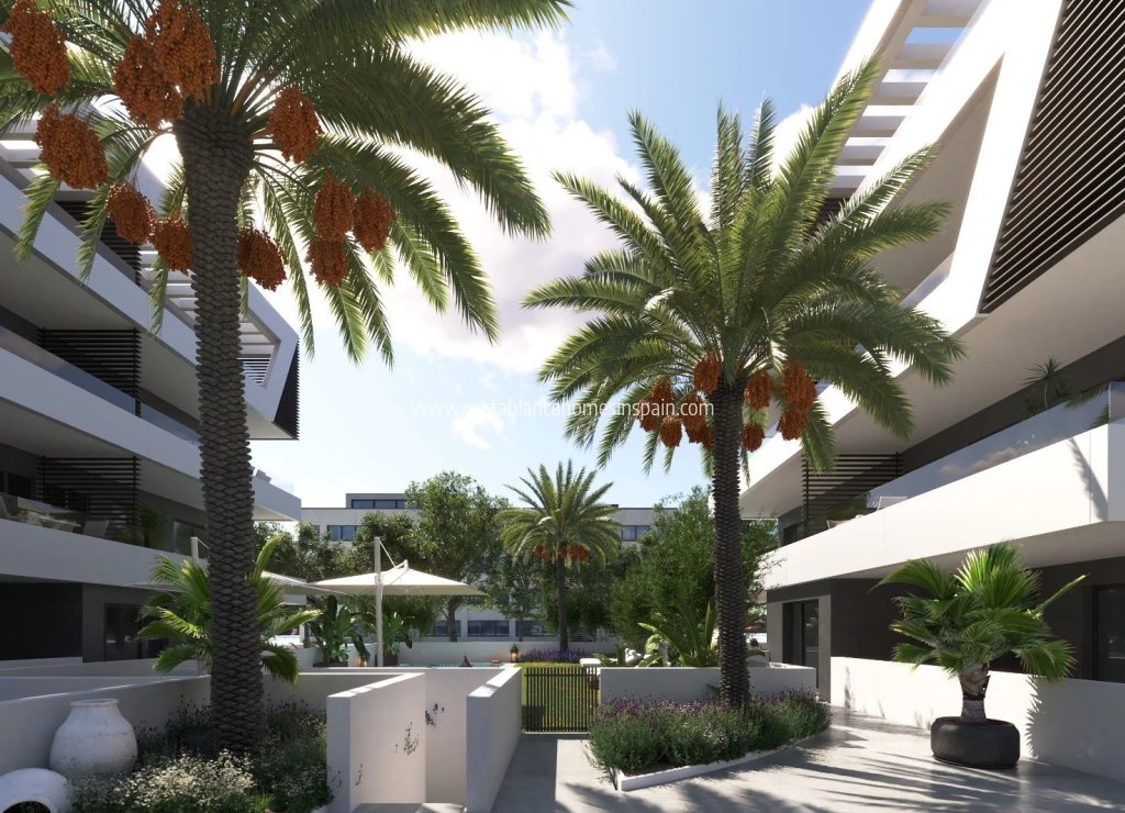 Nybygg - Apartment - Sant Joan d'Alacant