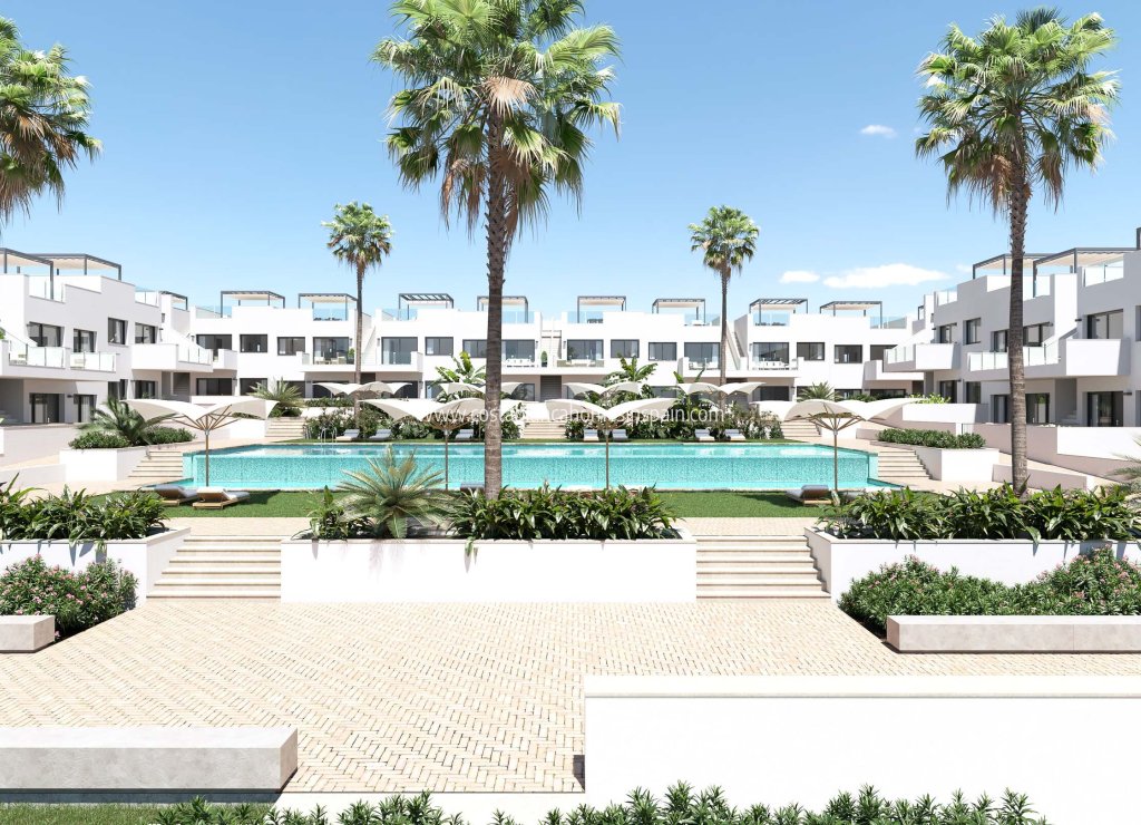 Nybygg - Apartment - Torrevieja