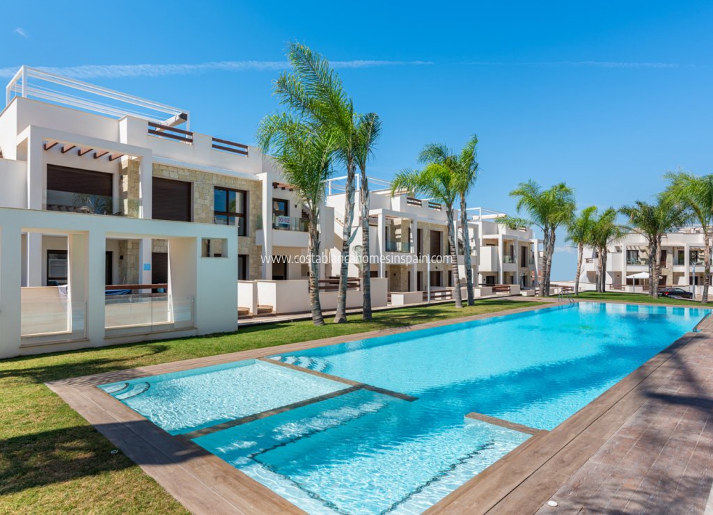 Nybygg - Apartment - Torrevieja