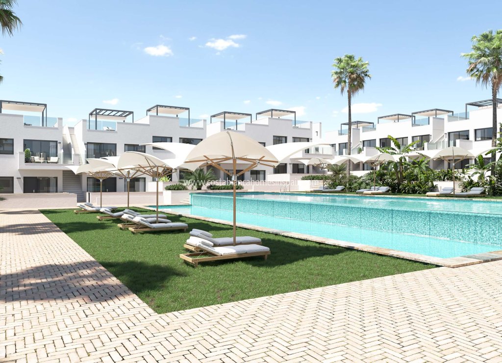 Nybygg - Apartment - Torrevieja