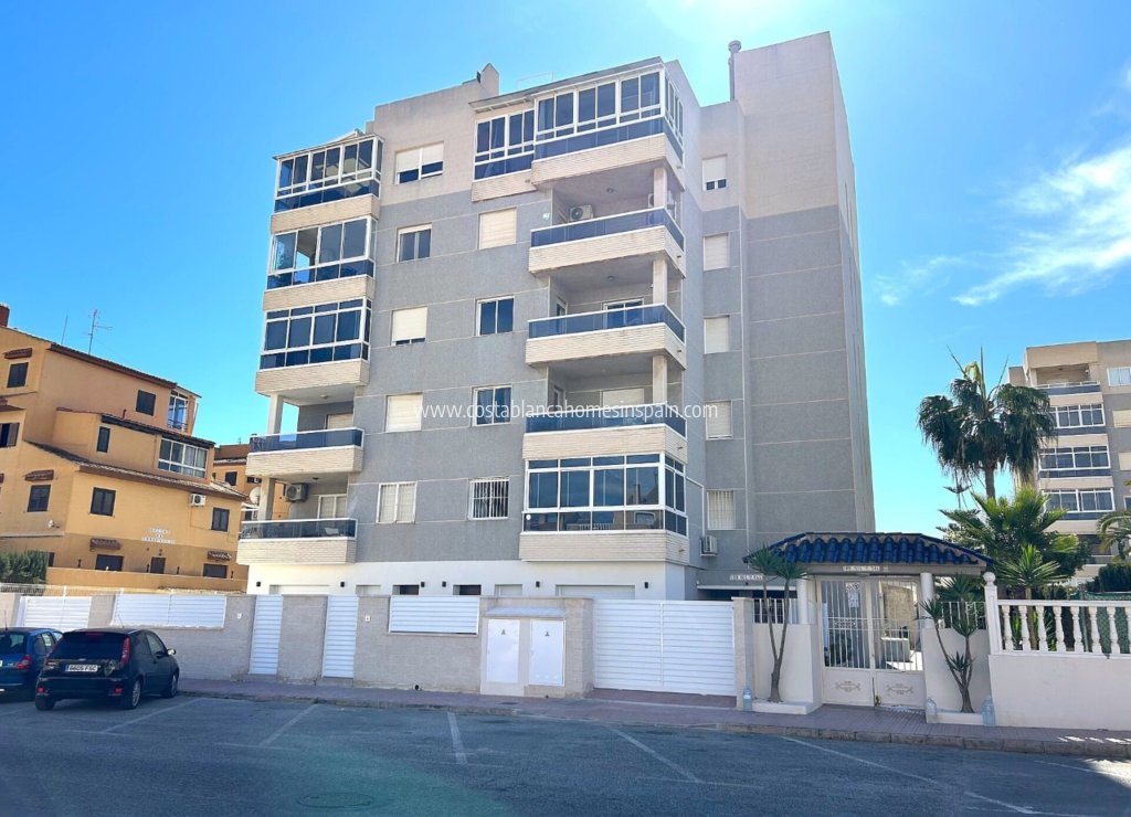 Nybygg - Apartment - Torrevieja