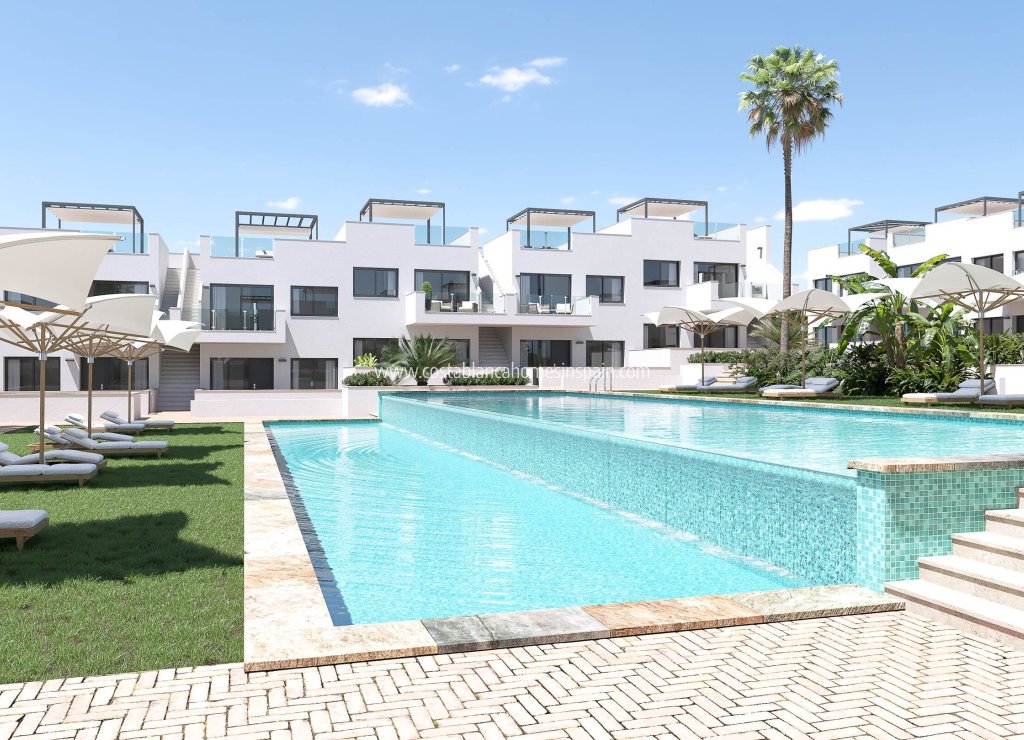 Nybygg - Apartment - Torrevieja