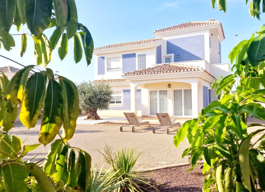 Nybygg - Detached Villa - Purias