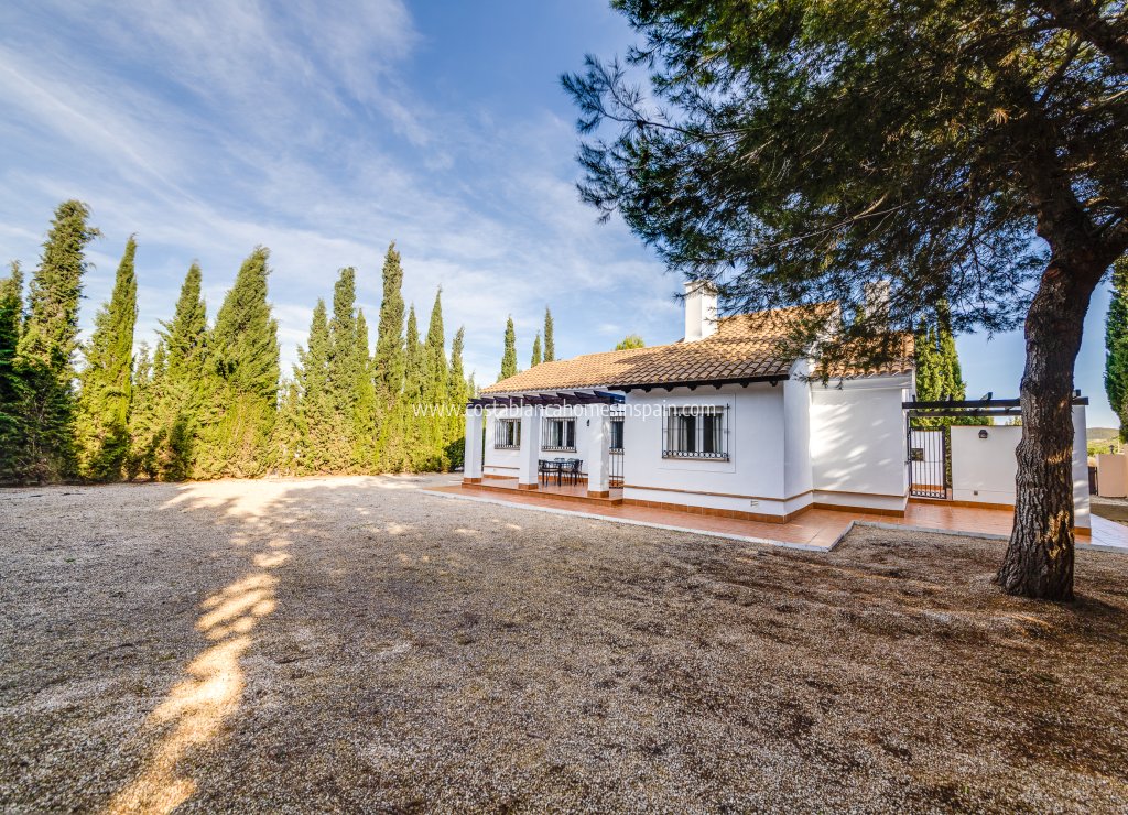 Nybygg - Townhouse - Fuente Álamo - Fuente Alamo