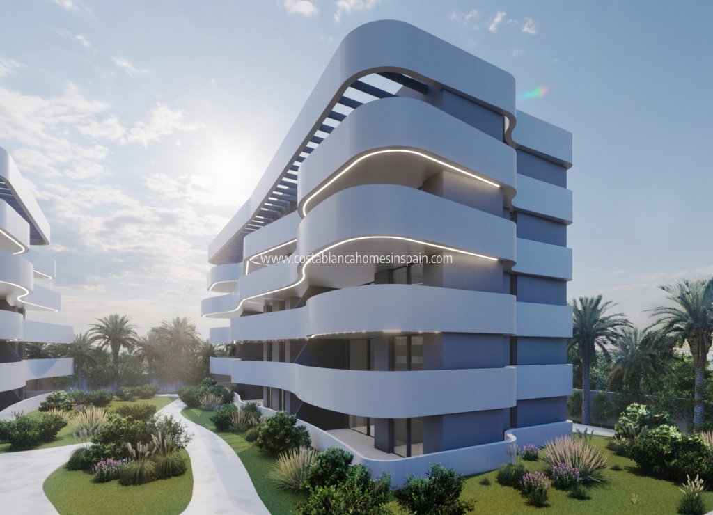 Obra Nueva - Apartment - Guardamar del Segura