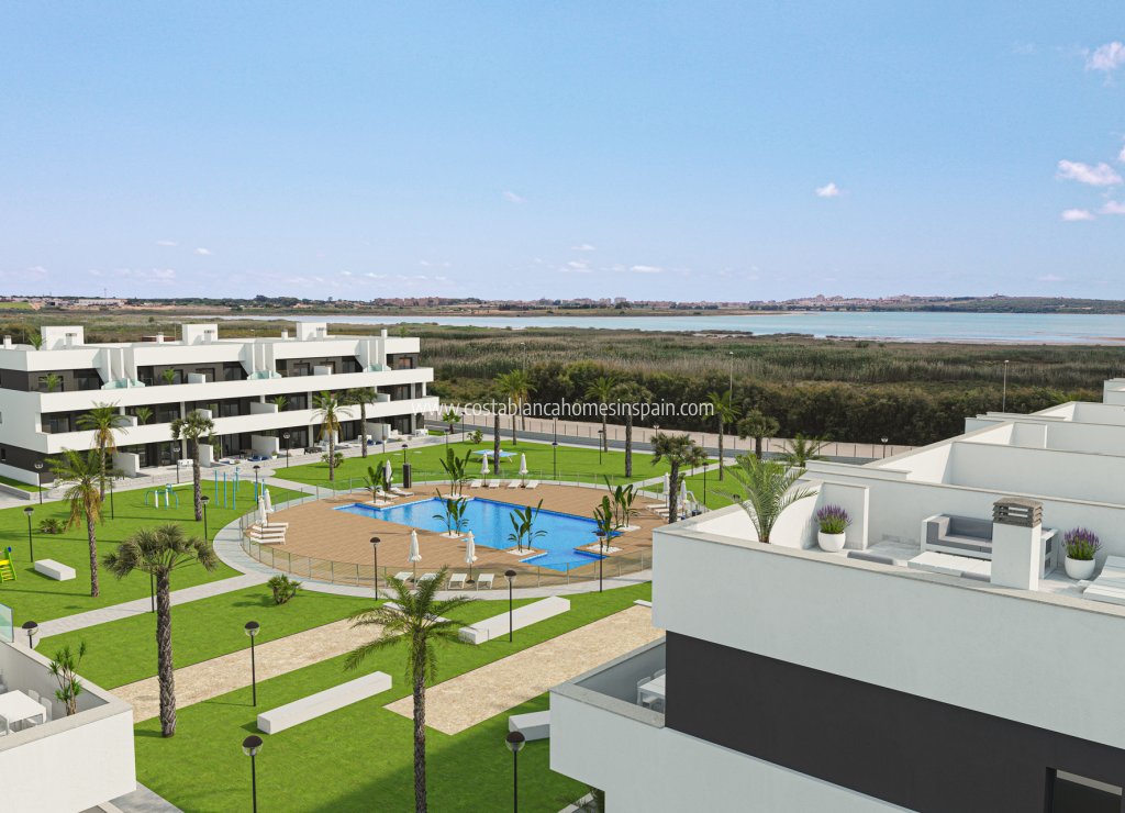 Obra Nueva - Apartment - Guardamar del Segura