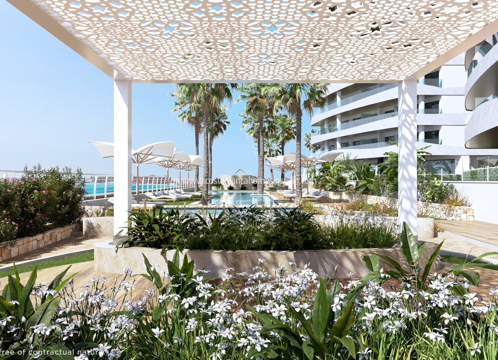 Obra Nueva - Apartment - La Manga del Mar Menor