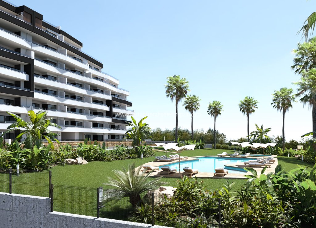Obra Nueva - Apartment - San Miguel de Salinas