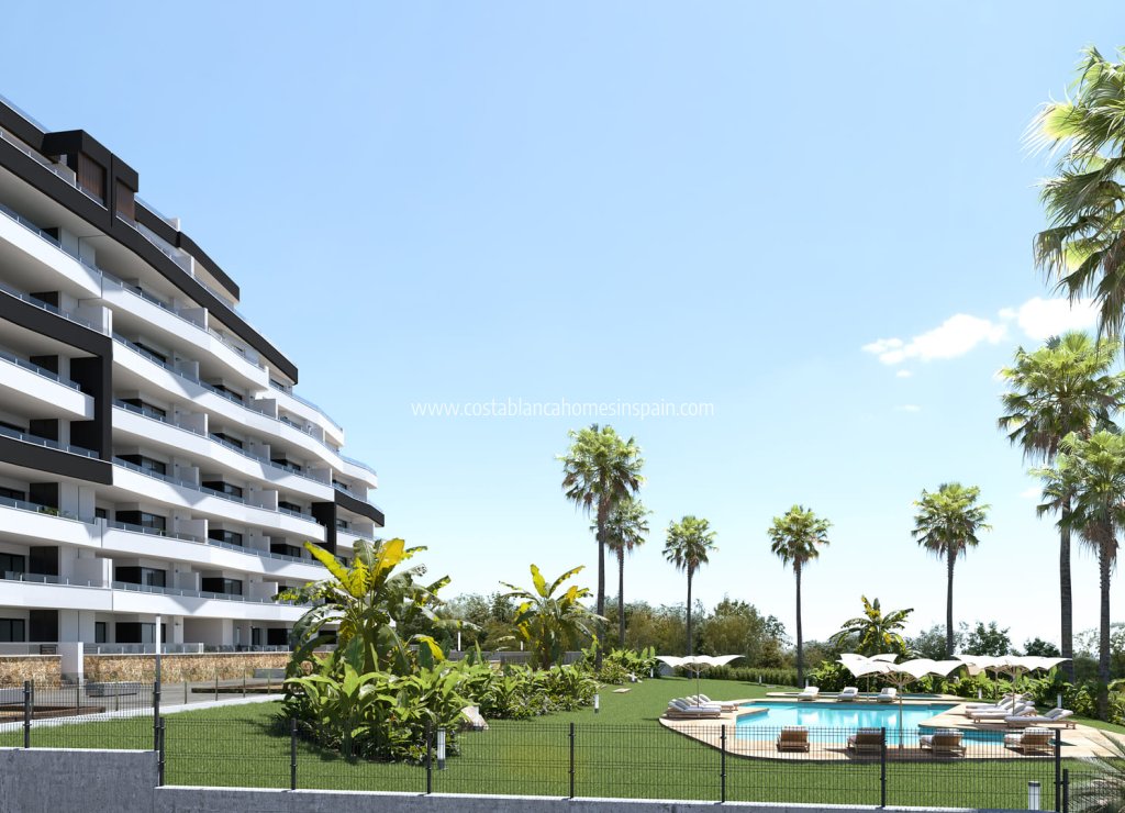 Obra Nueva - Apartment - San Miguel de Salinas