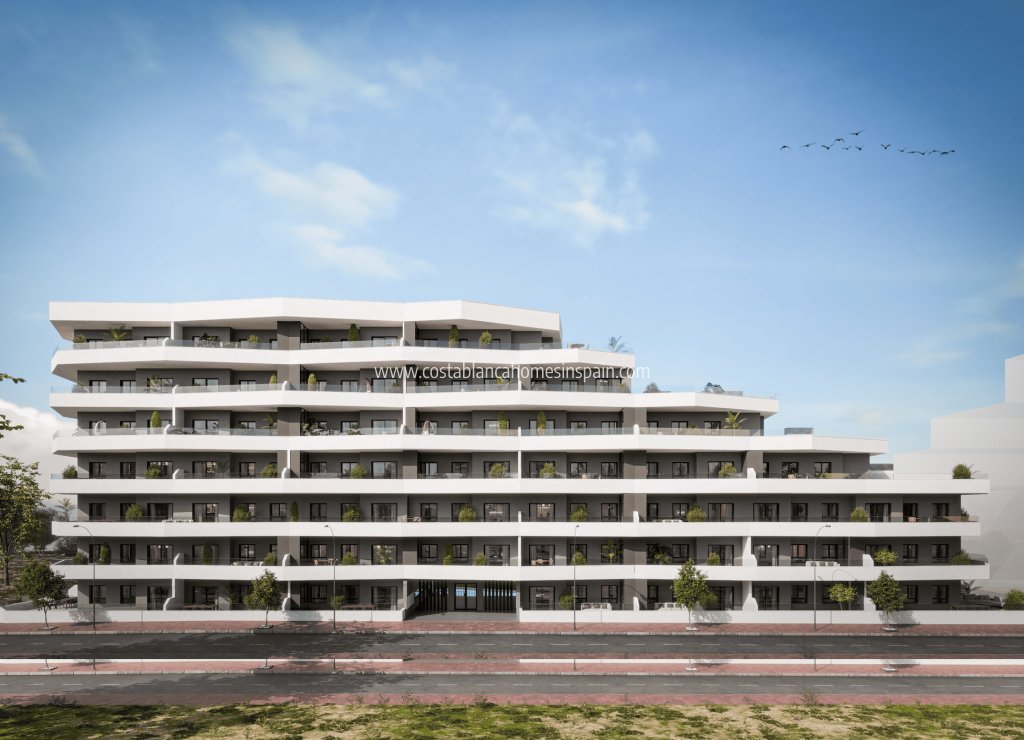 Obra Nueva - Apartment - San Miguel de Salinas