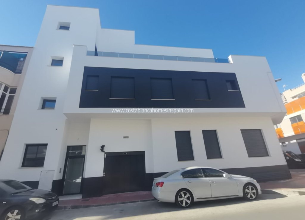 Obra Nueva - Apartment - Torrevieja