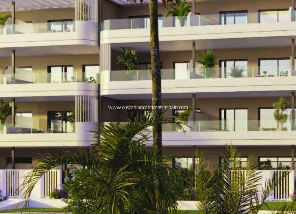 Obra Nueva - Apartment - Torrevieja